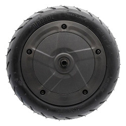 CMM519