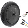 CMM519