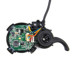 EDA-001