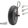EWF507