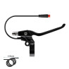 FMF-008