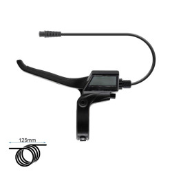 FMF-010