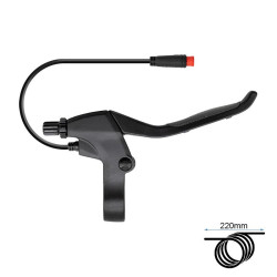FMF-011