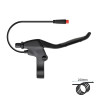 FMF-011