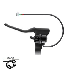 FMF-015