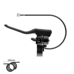 FMF-016