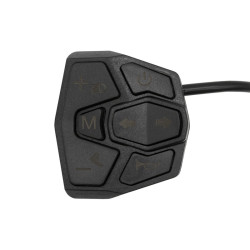 Display Joyor S10-S-Z mit Blinker | E-Scooter Werkstatt Nürnberg