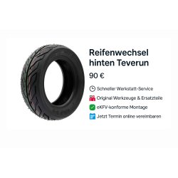 Teverun Fighter Mini Pro – Reifenwechsel hinten (Service)
