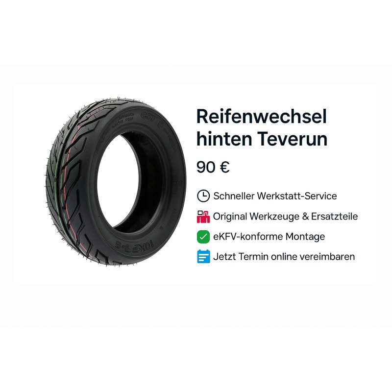 Teverun Fighter Mini Pro – Reifenwechsel hinten (Service)