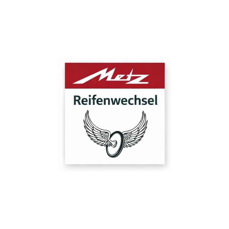 Metz Moover E-Scooter Reifen und Schlauch Wechsel Service Hinten